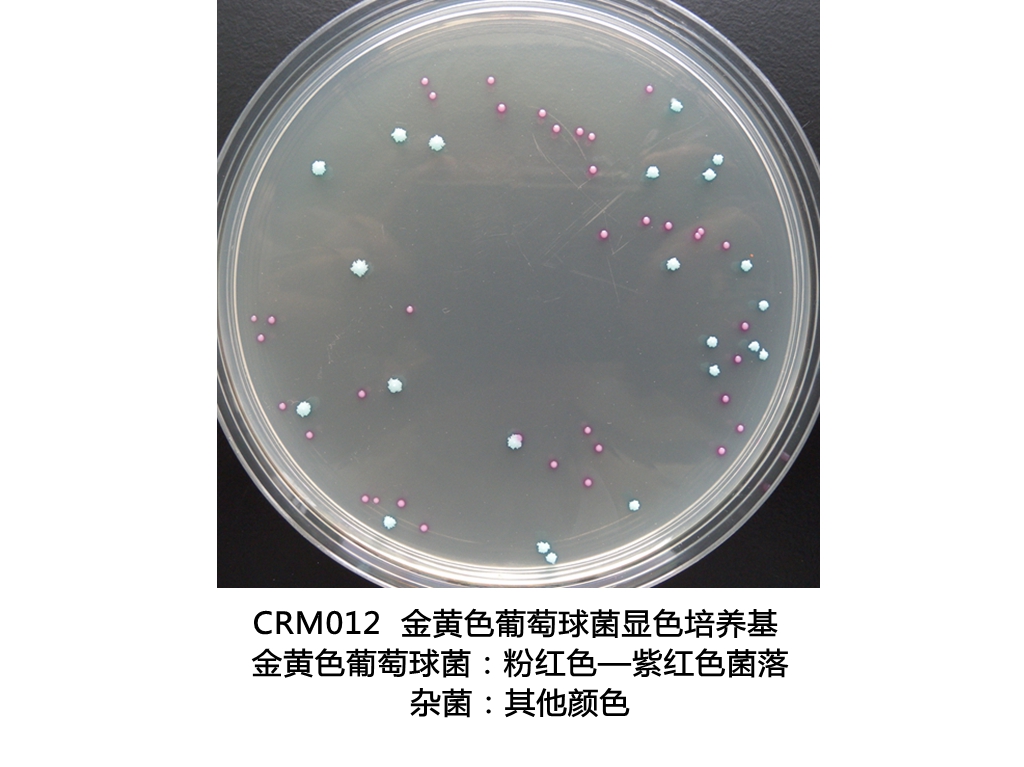 金黃色葡萄球菌顯色培養基生物圖冊