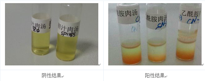 將產熒光的菌落的純培養物接種到乙酰胺肉湯中36℃培養24h，加入鈉氏試劑