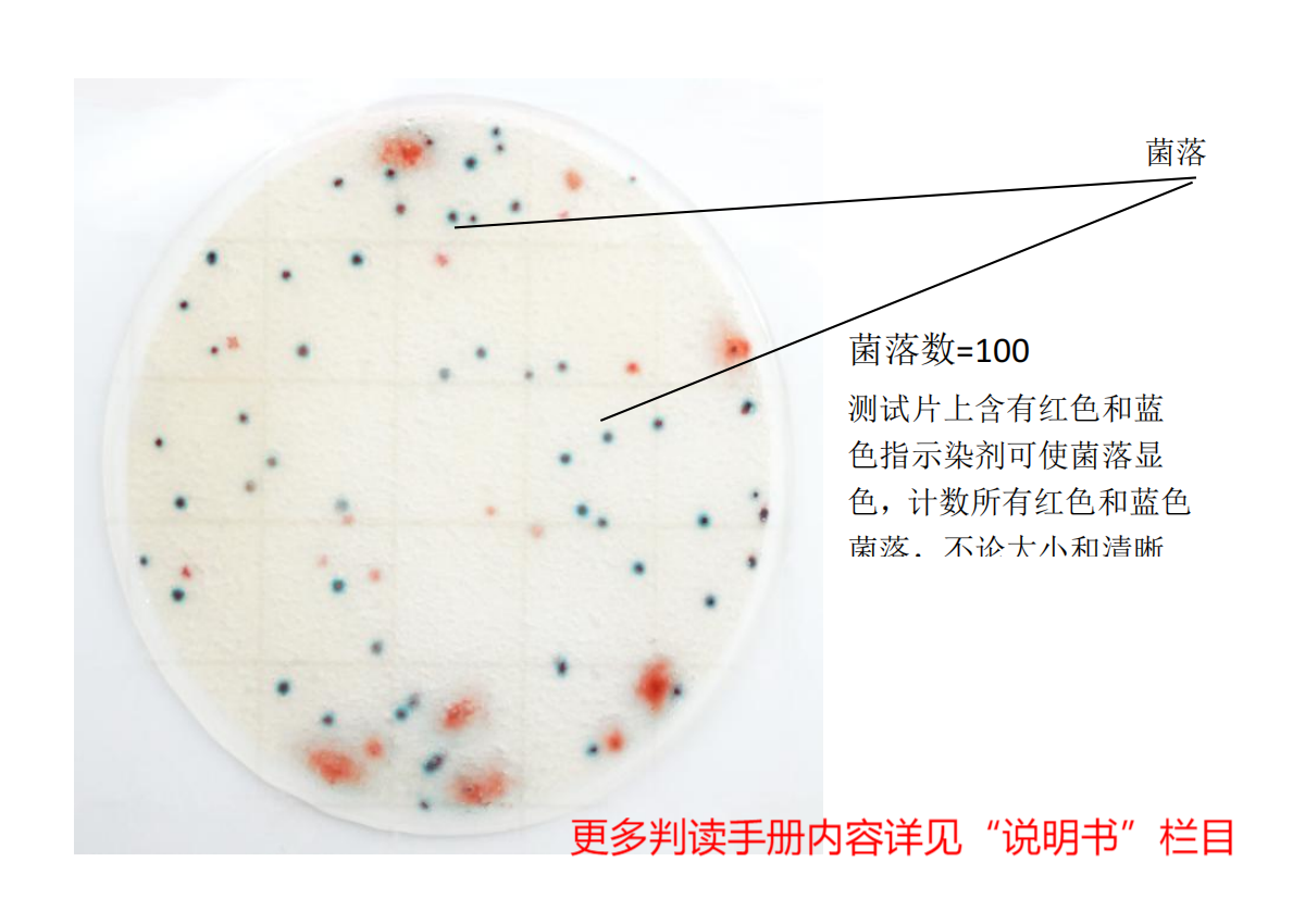 快速菌落總數測試片判讀手冊