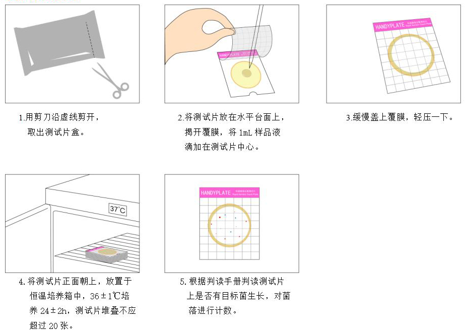 Handy plate®快速菌落總數測試片 操作圖解