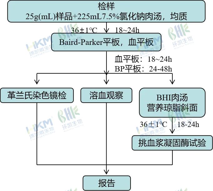 金黃色葡萄球菌定性檢驗