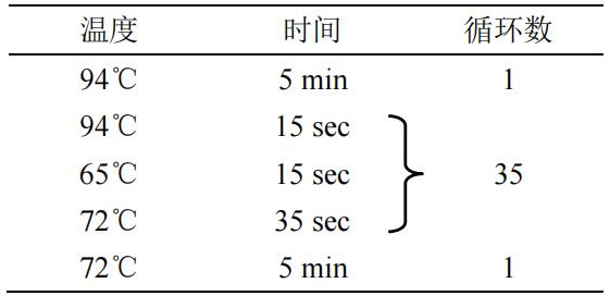 PCR 反應程序