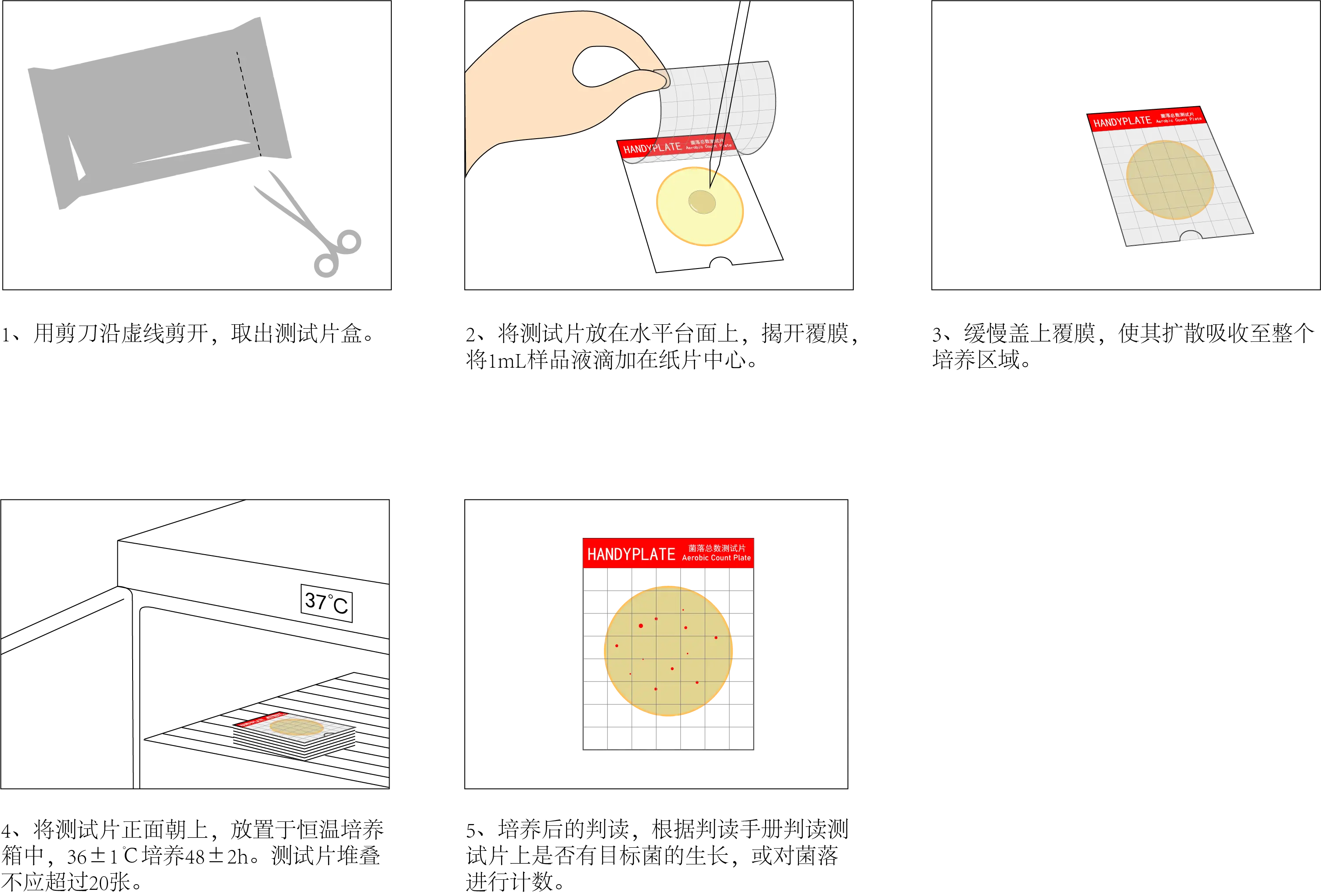 菌落總數(shù)測(cè)試片使用操作步驟