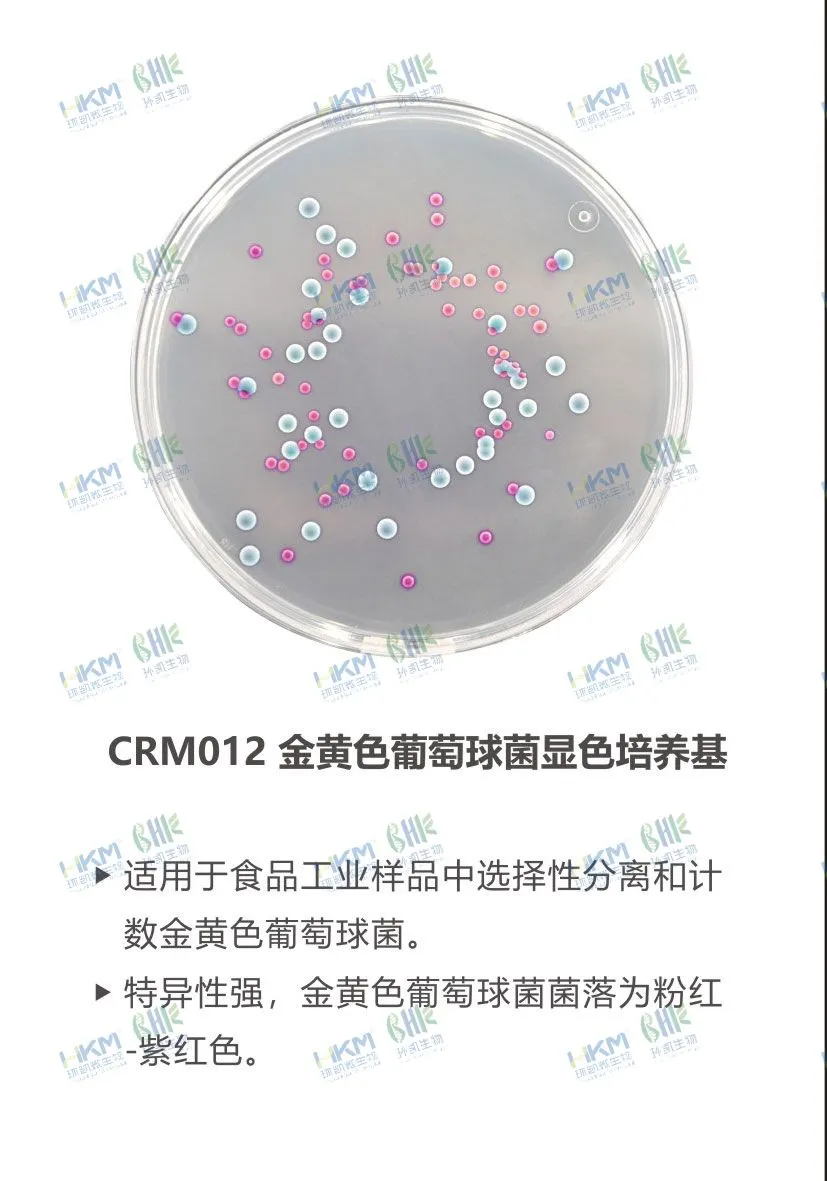 CRM012 金黃色葡萄球菌顯色培養基