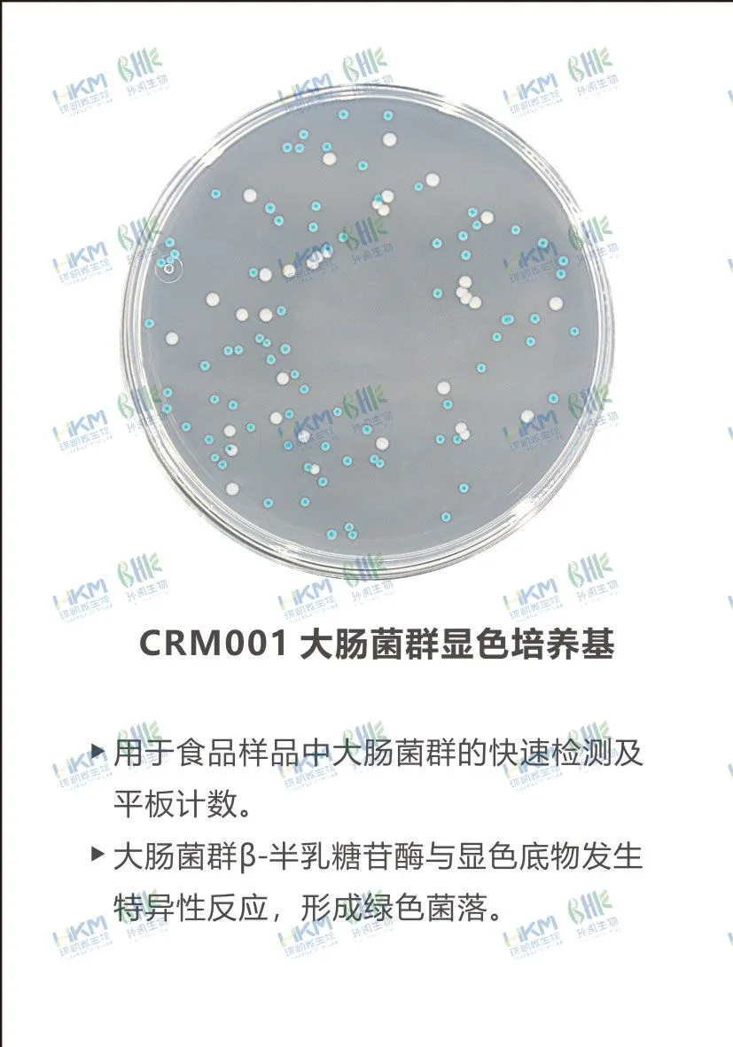 CRM001 大腸菌群顯色培養基