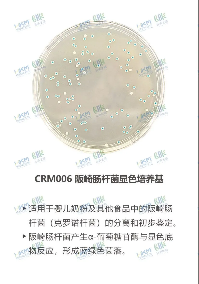 CRM006 阪崎腸桿菌顯色培養基