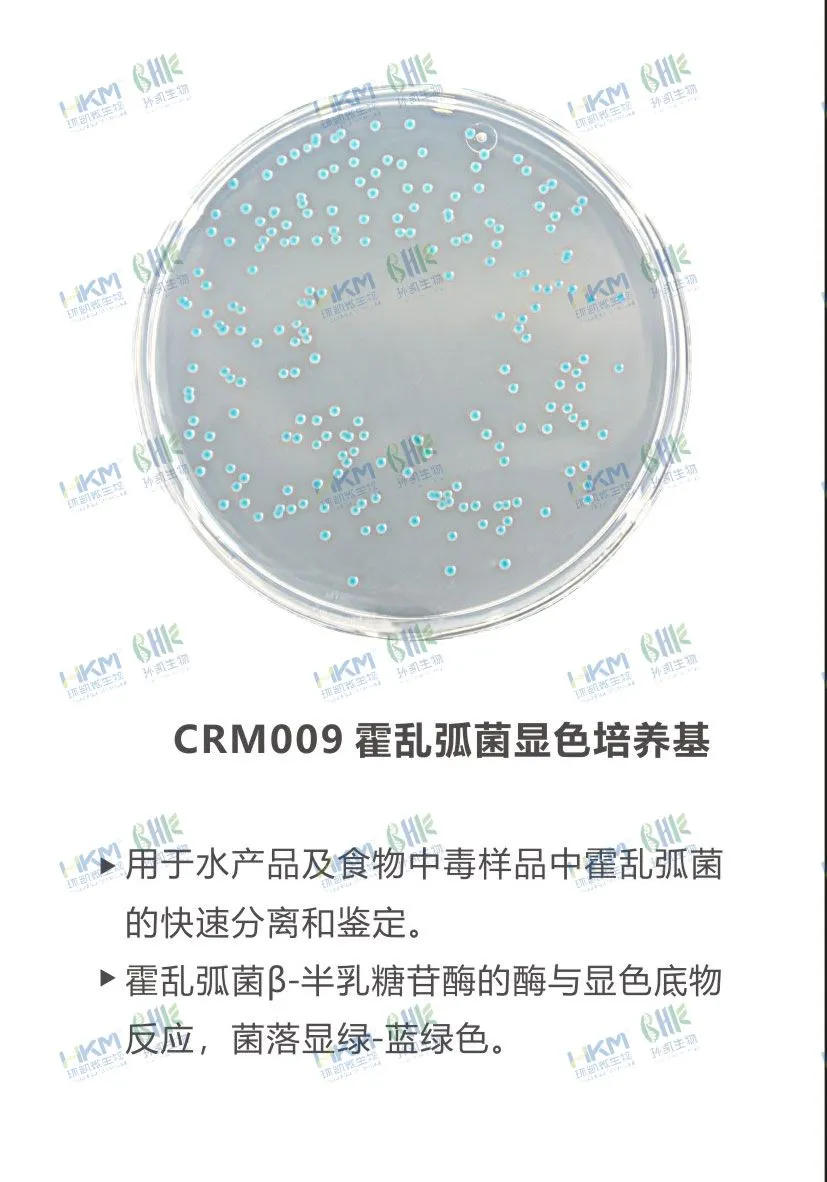 CRM009 霍亂弧菌顯色培養基