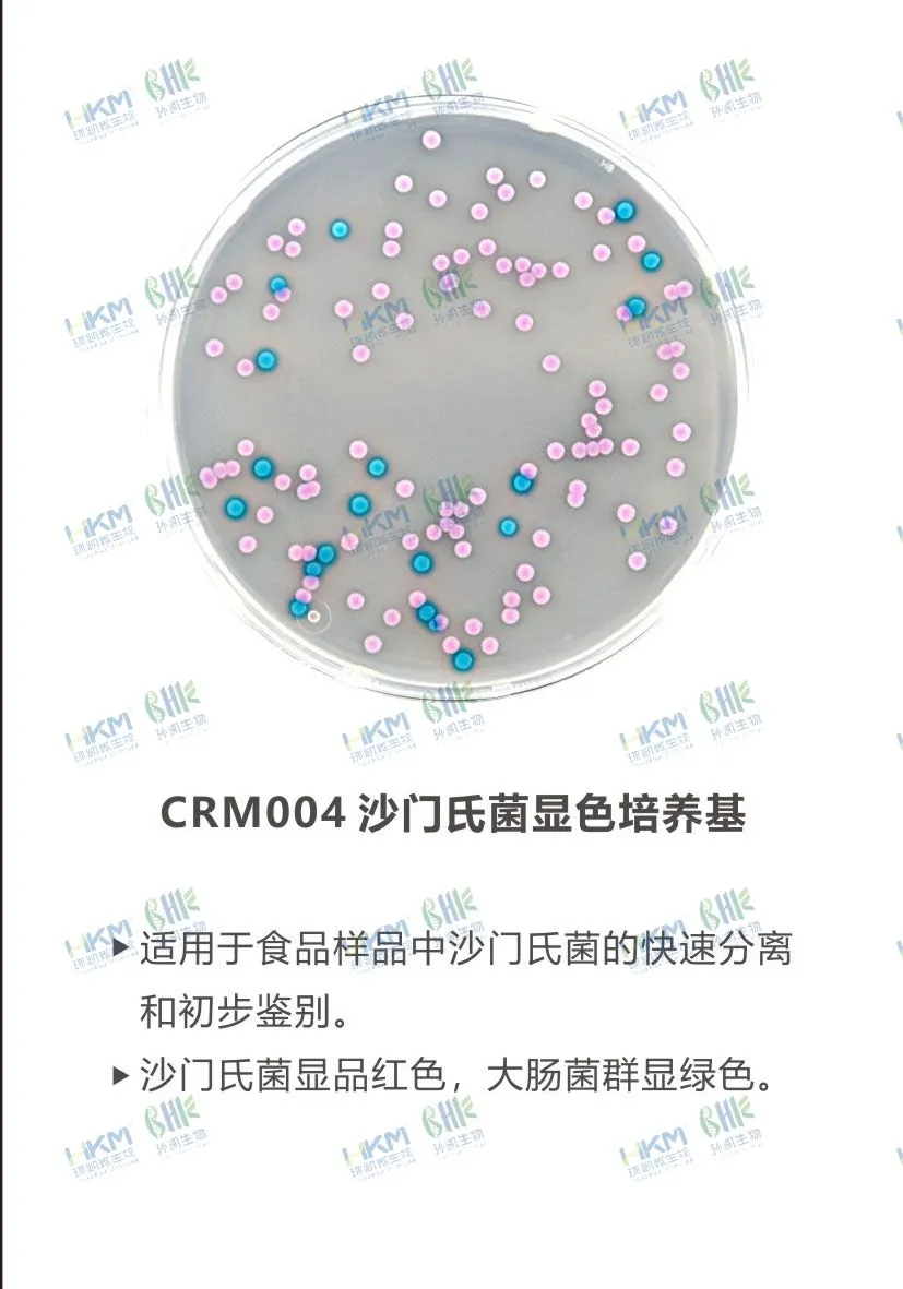 CRM004 沙門氏菌顯色培養基