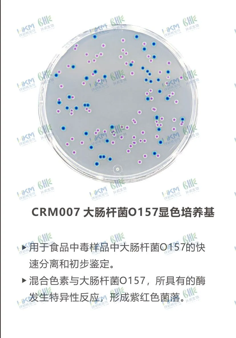 CRM007 大腸桿菌O157顯色培養基