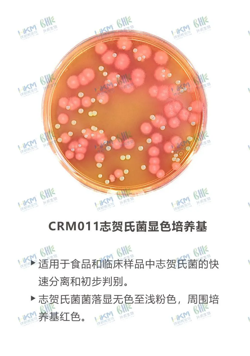 CRM011 志賀氏菌顯色培養基