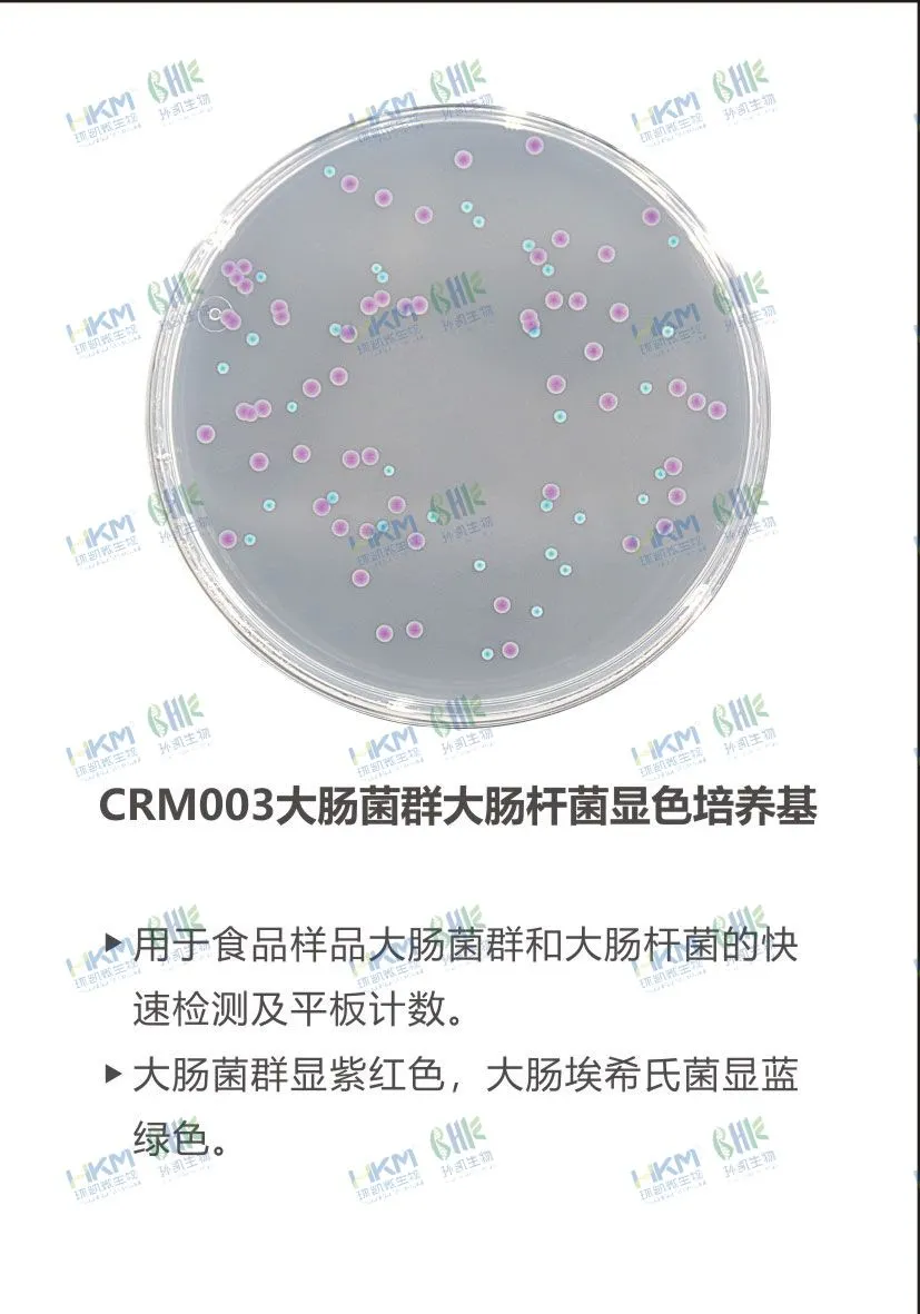 CRM003 大腸菌群大腸桿菌(ECC)顯色培養基