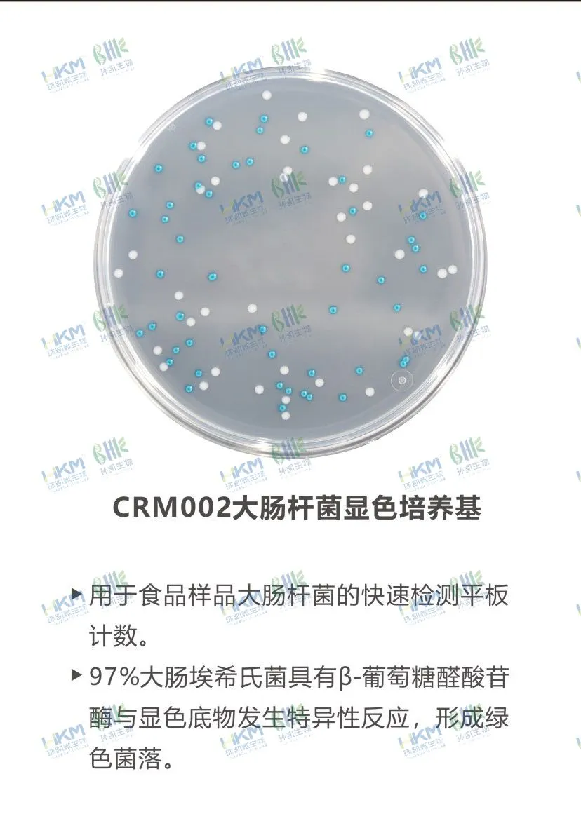 CRM002 大腸桿菌顯色培養基