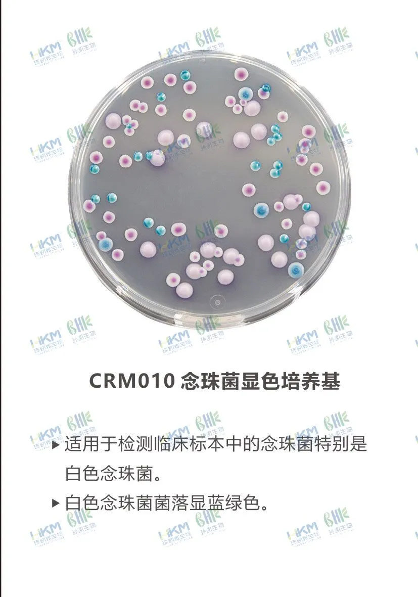 CRM010 念珠菌顯色培養基