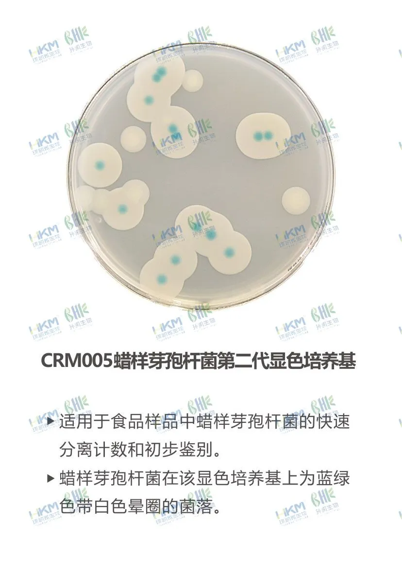 CRM005 蠟樣芽孢桿菌顯色培養基